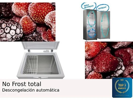 Beko RFNE312K31XBN congelador Vertical